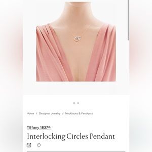 Tiffany & Co Interlocking Circles Pendant